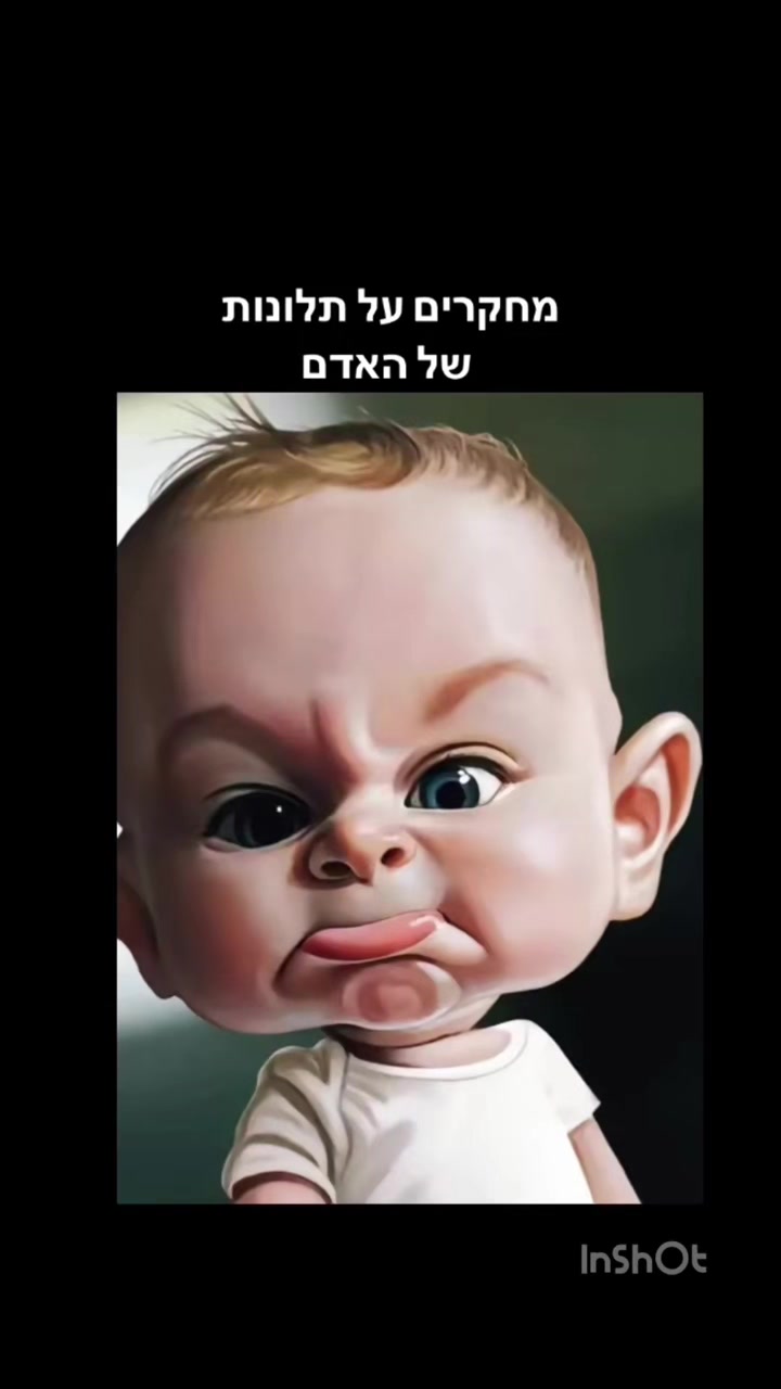 @eyal266