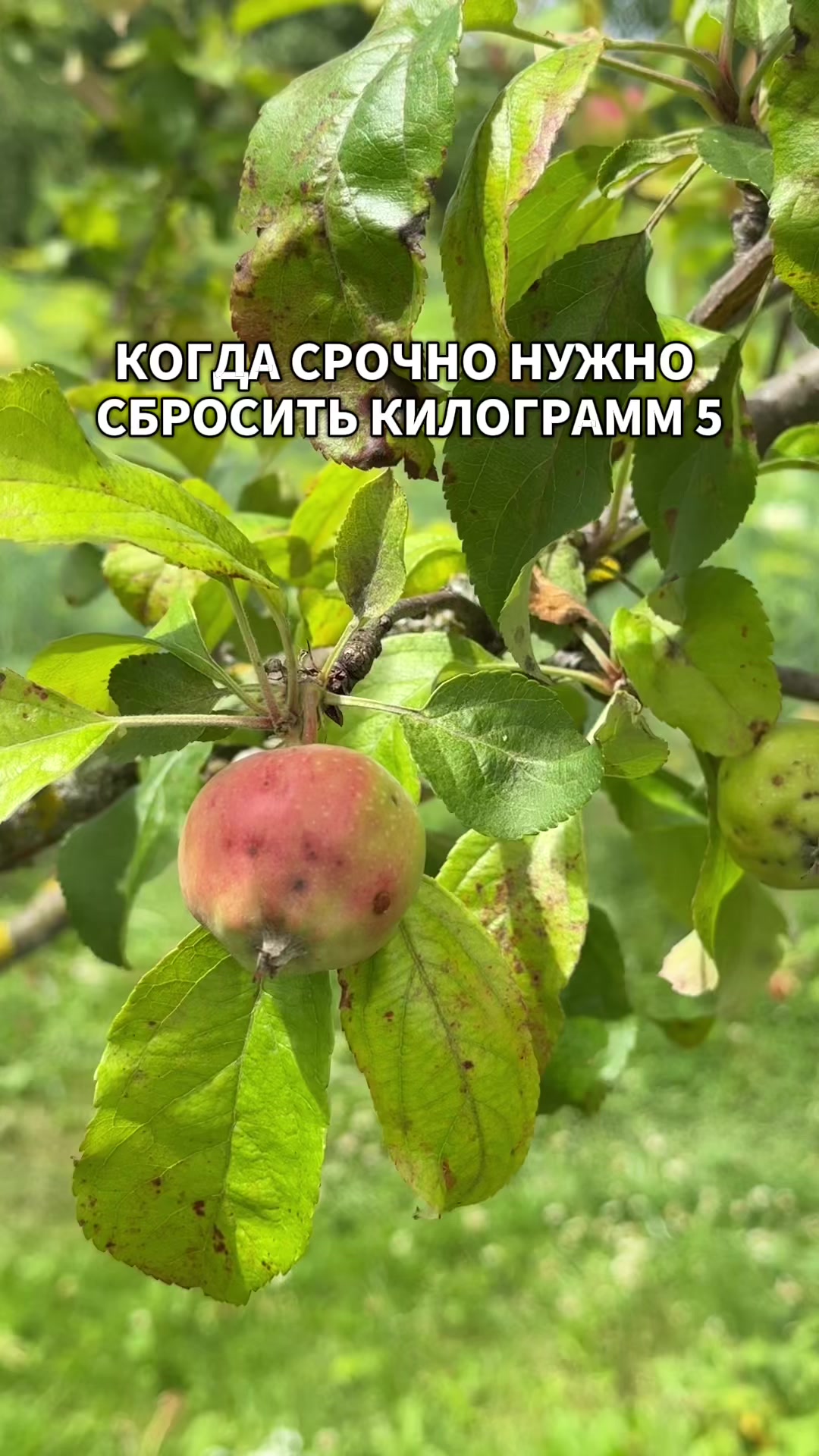 @Ирина