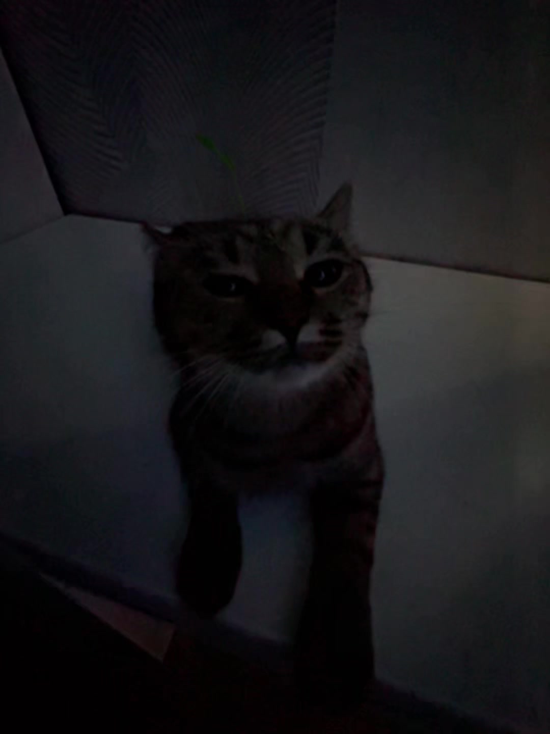 @еу