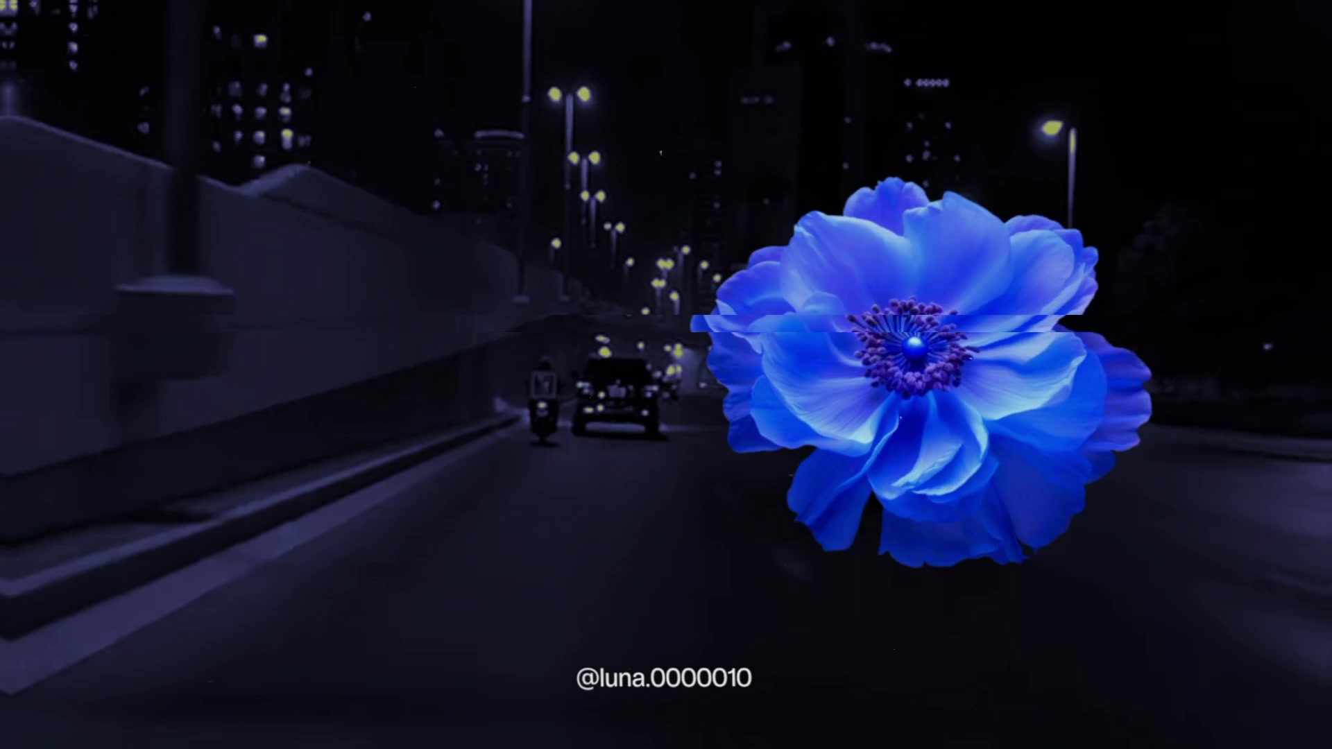 @L U N A ☾ ⋆