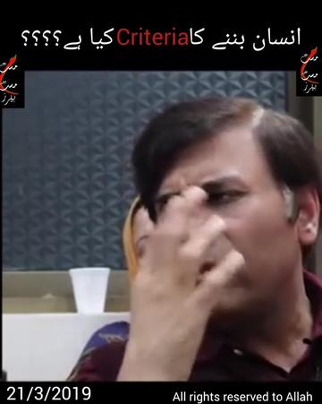 @Shu Maila