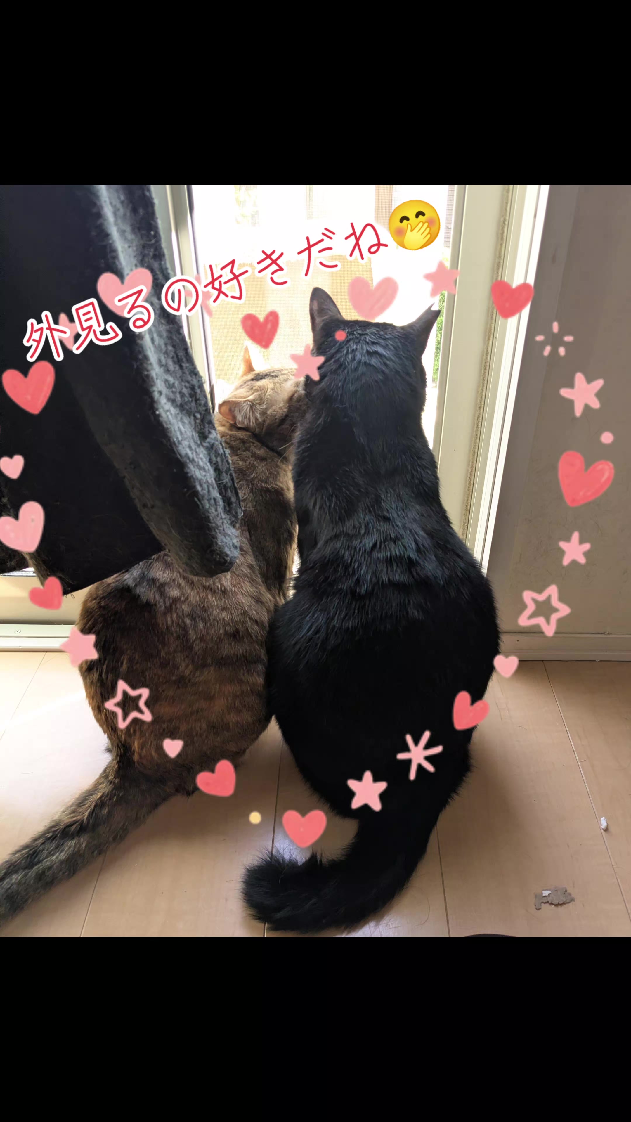 @キュキュ