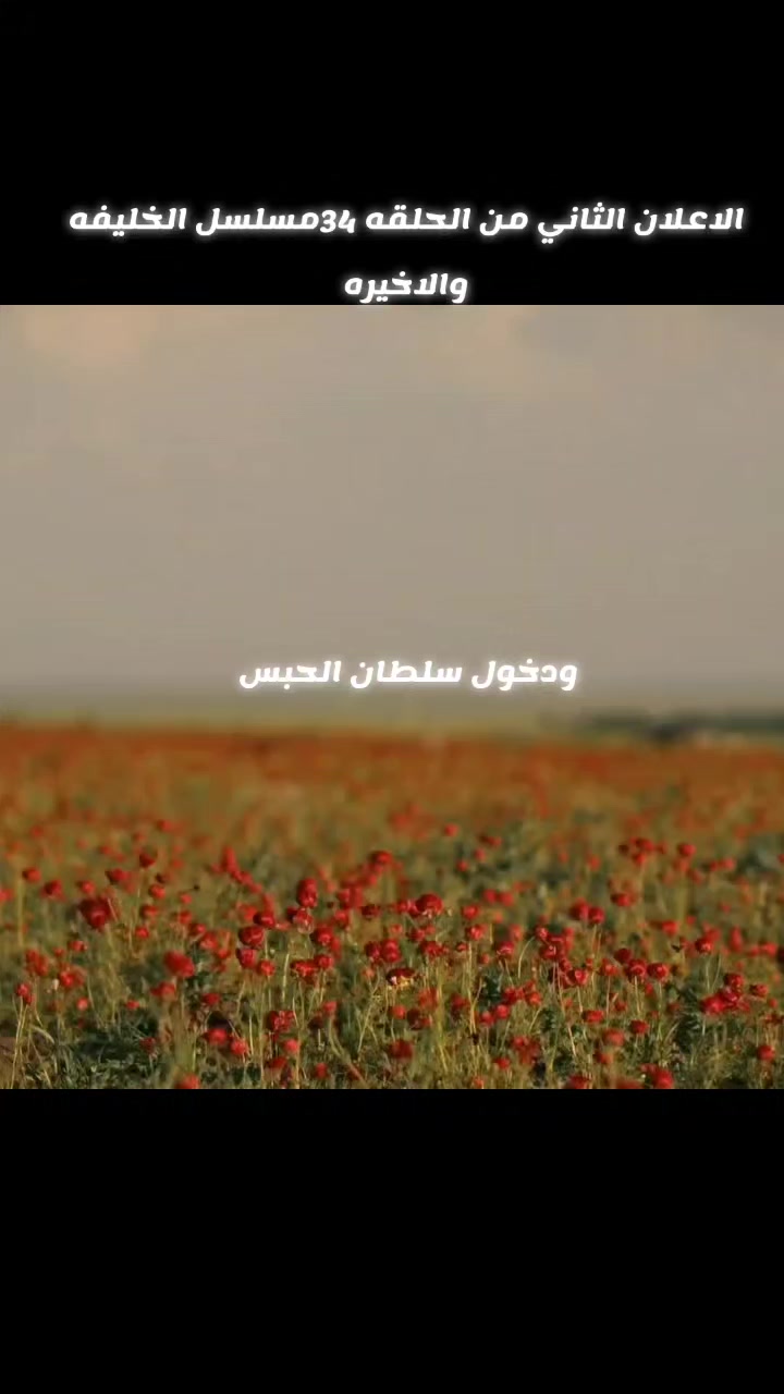 @مسلسلات تركيه