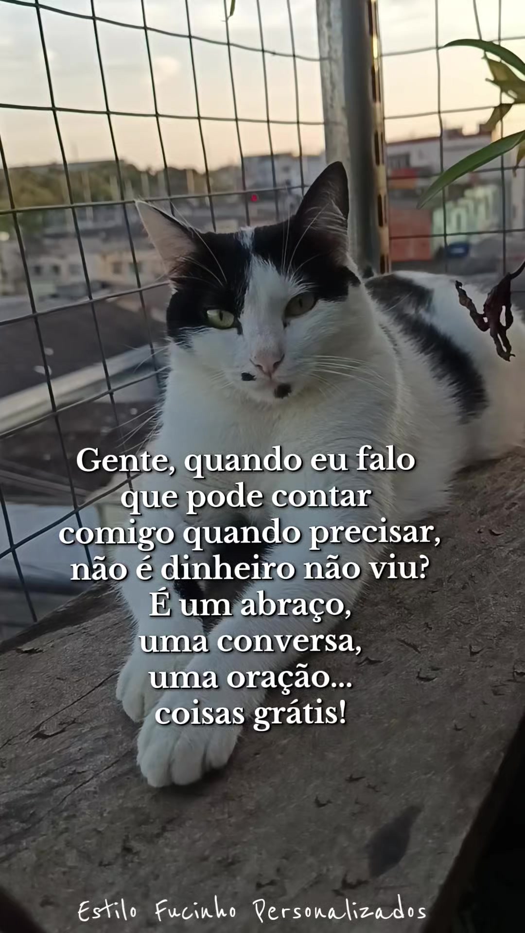 @Estilo Fucinho😻Personalizados
