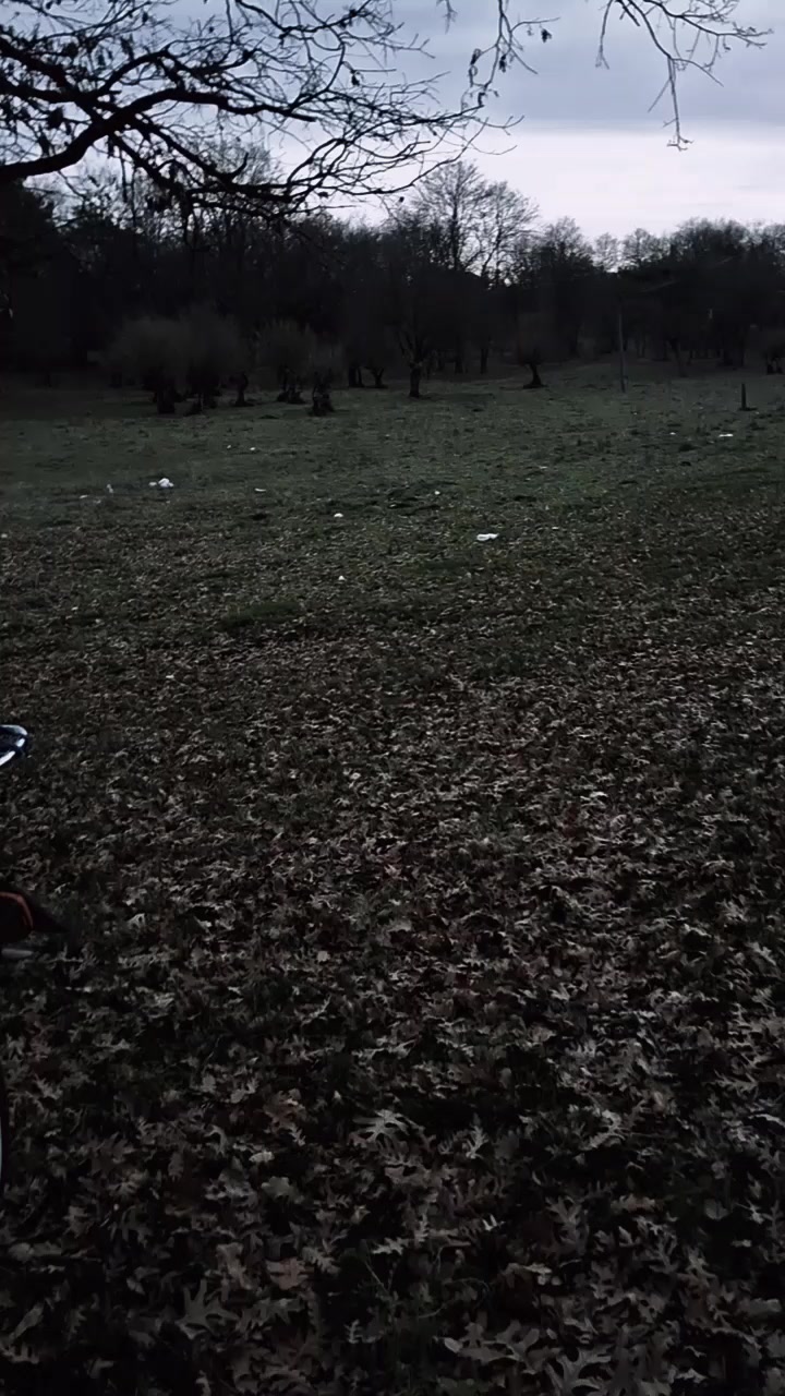 @10 APL 240