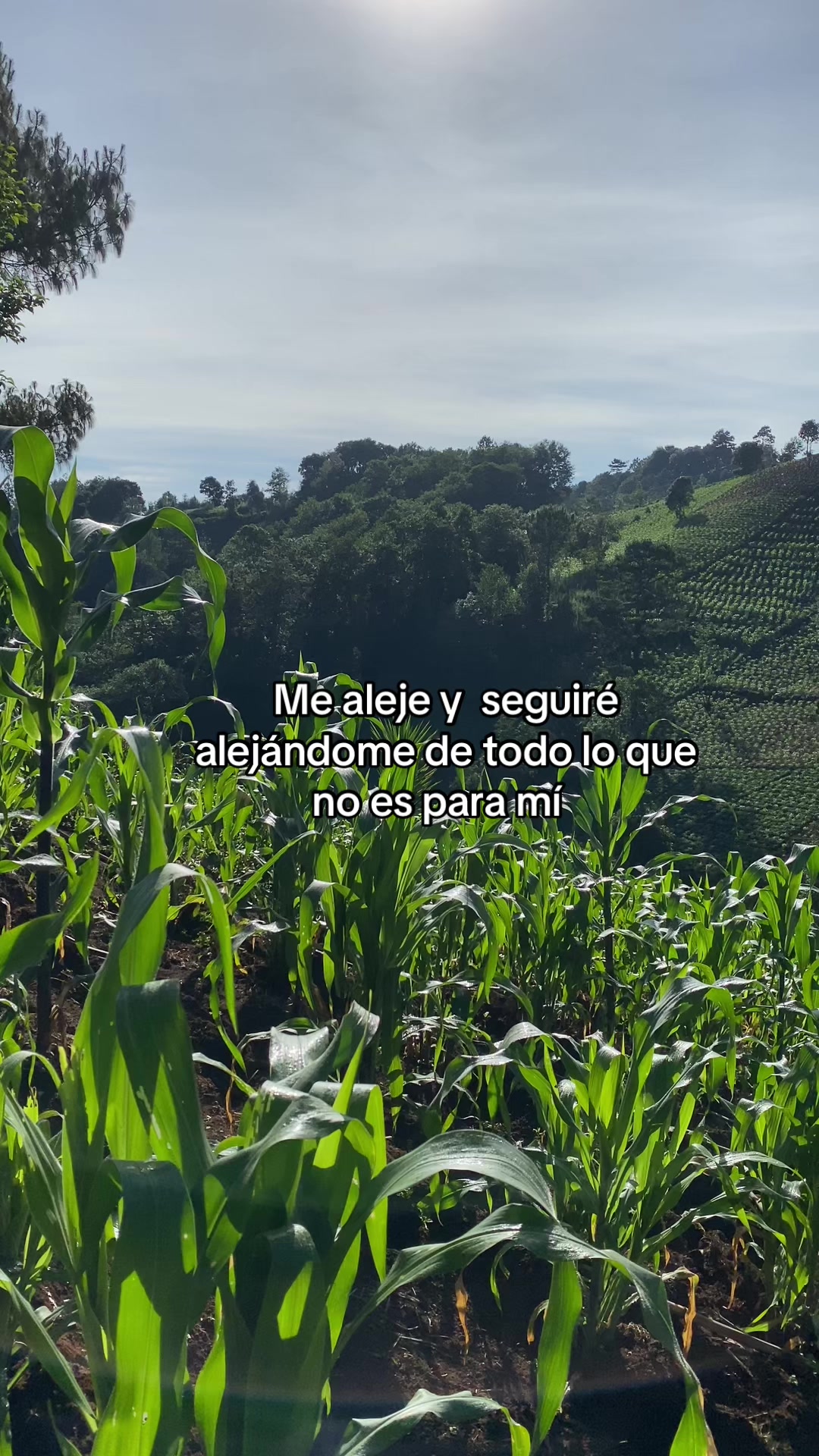 @Aangelito 