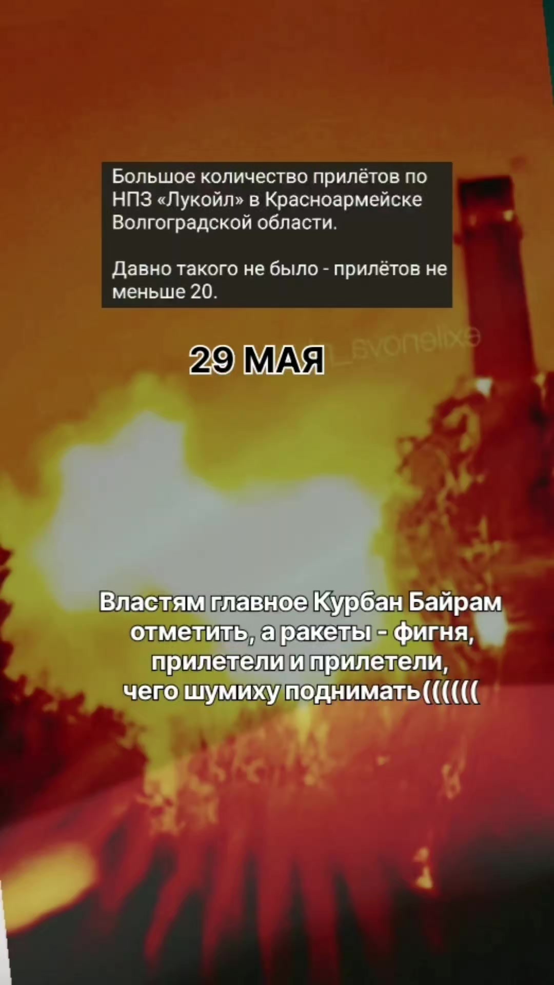 @EGOR_61Region