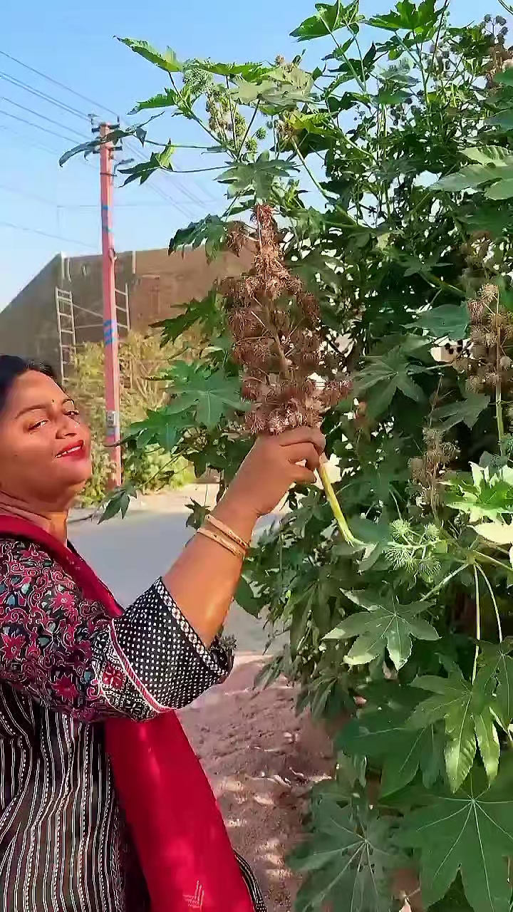 @Subhash.Talreja