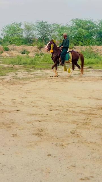 @Rai Usman