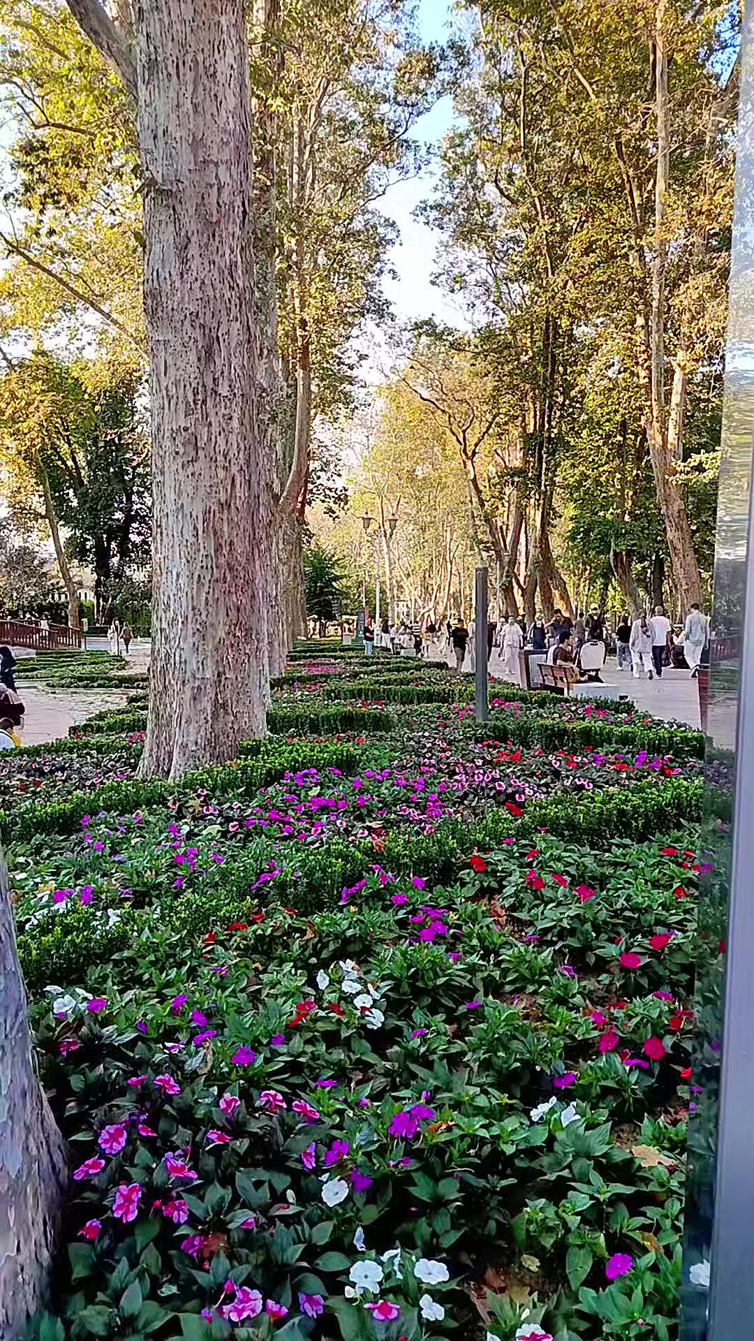 @37 Azdavay Bıyıklı Ali Kemal