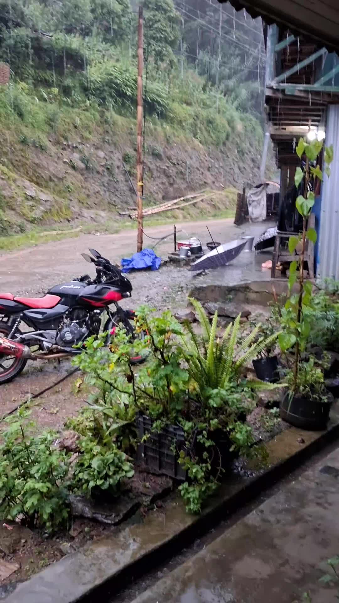 @Krishna Mangyung