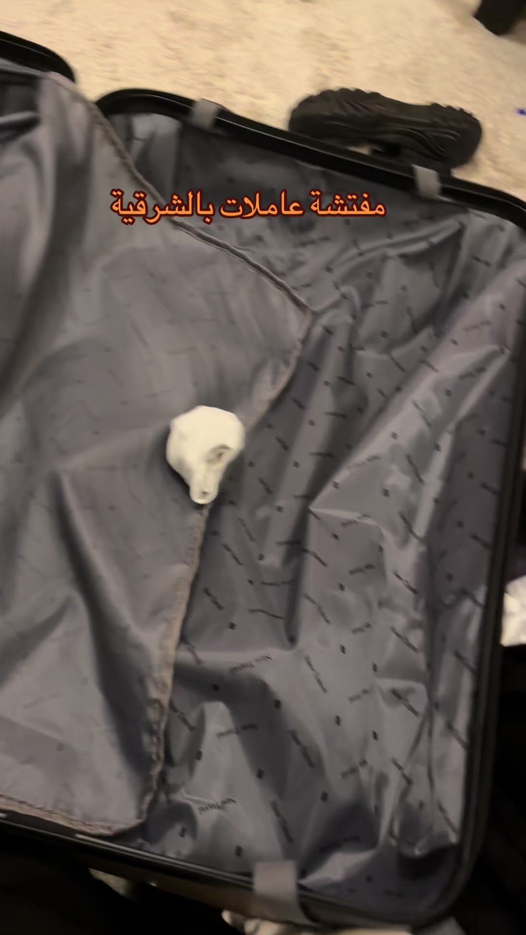 @مفتشة عاملات بالشرقية