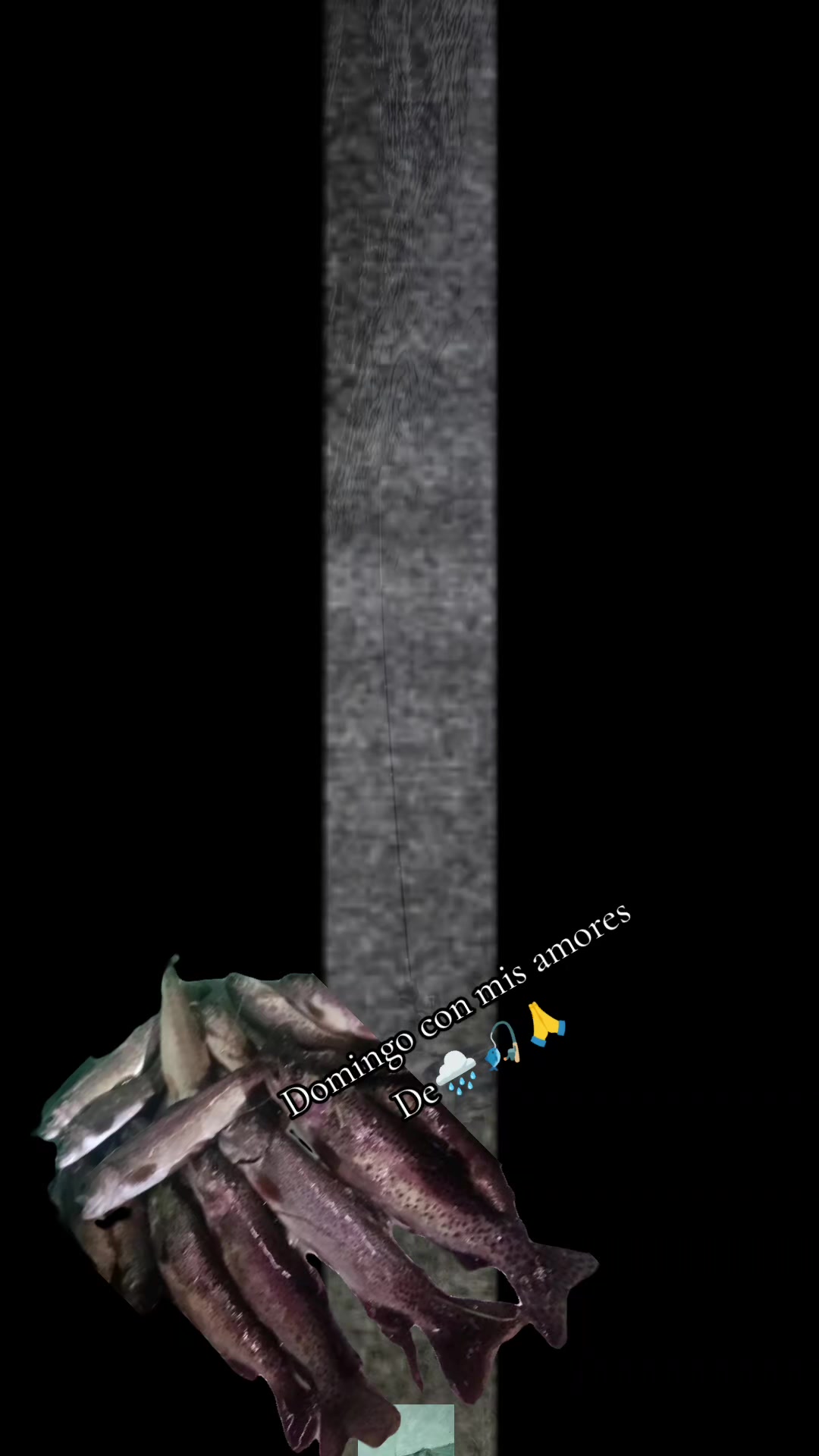 @🙏🕊️❤️