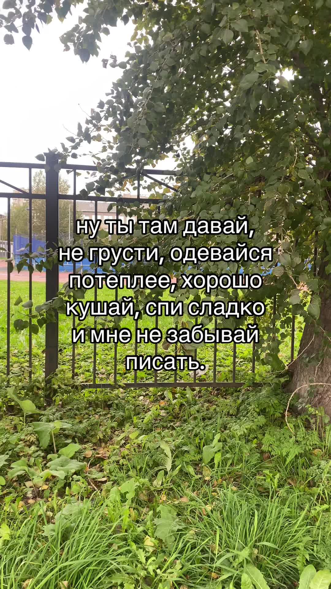 @Данил