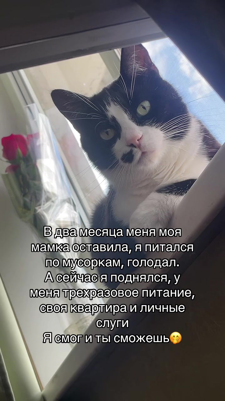 @Лиана Клунна✅