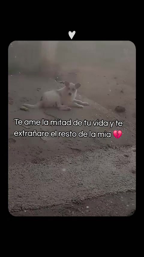 @yosymorales