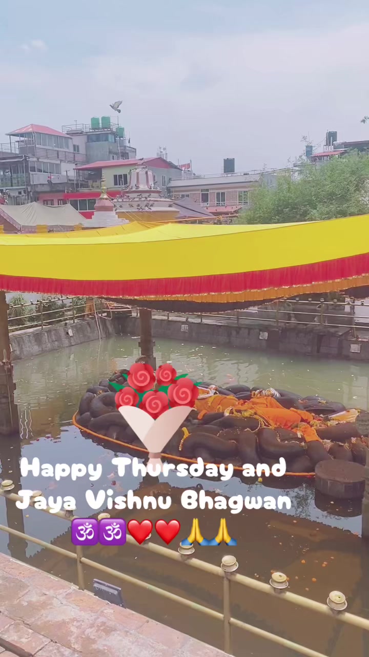 @Narendra Raj Thapaliya