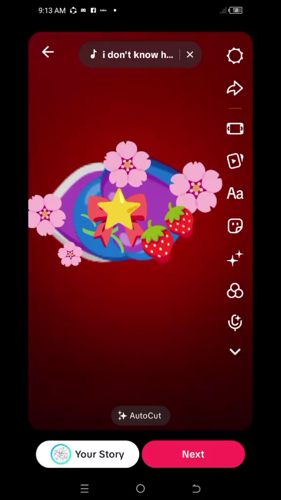@⋆౨ৎ˚⟡˖ ࣪ZINNIA ₍˄&middot;͈༝&middot;͈˄₎◞ ̑̑ೃ࿔