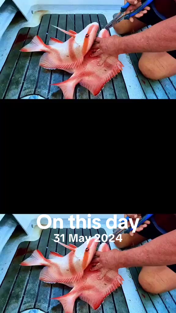@OBM1770