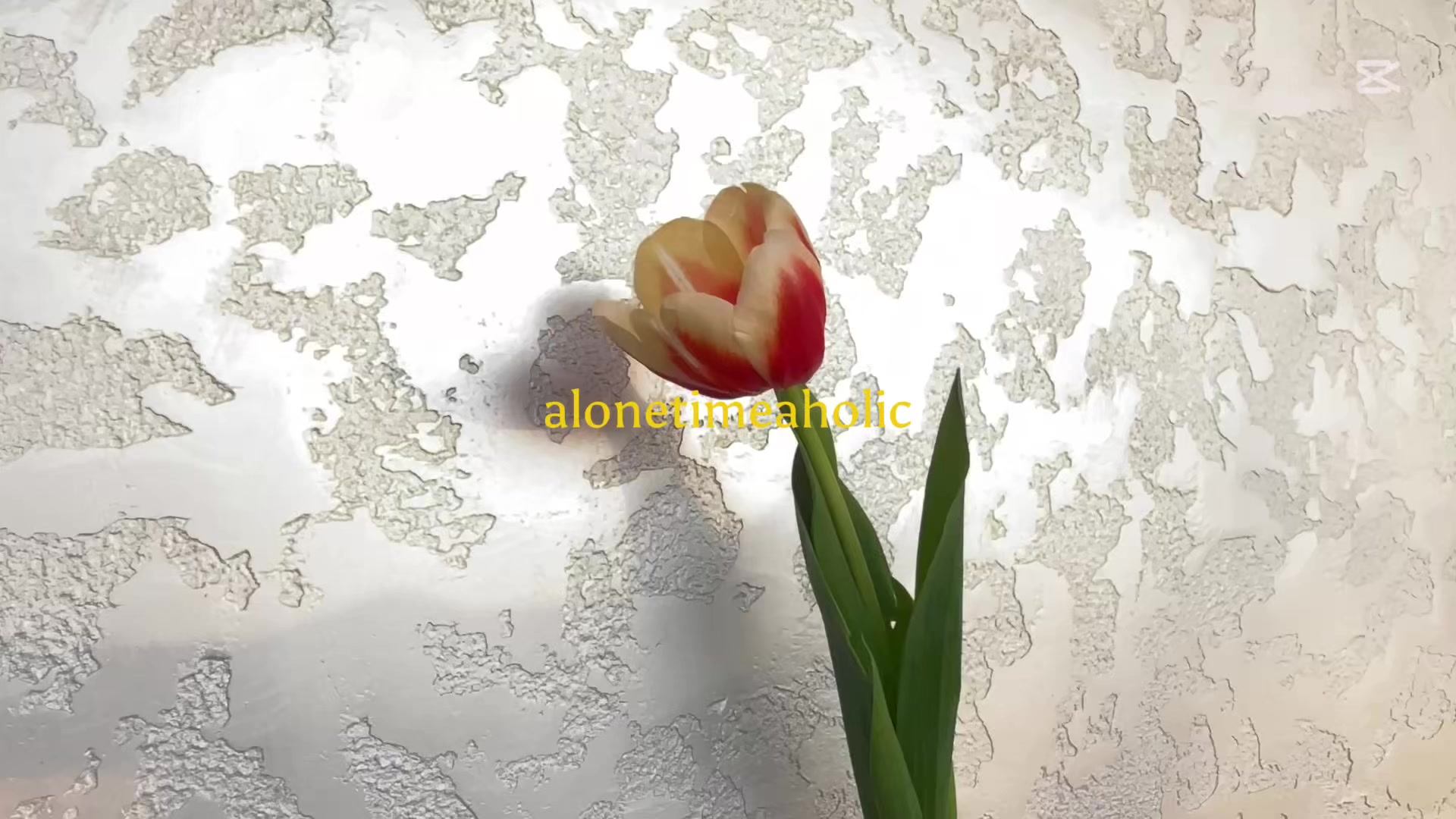 @𝐌𝐚𝐤𝐡𝐥𝐢𝐲𝐨🤍