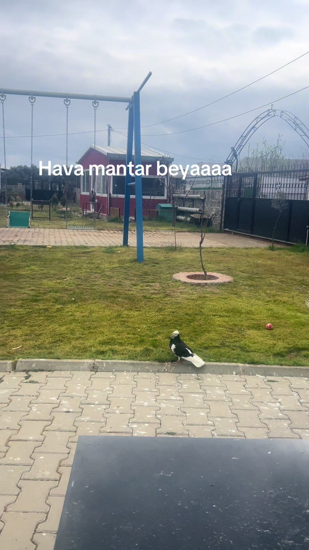 @Ahmet Yilmaz