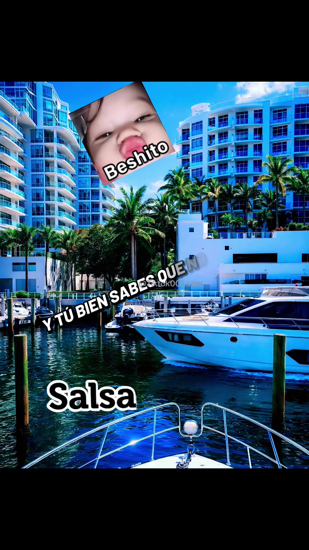@TikTok001.com