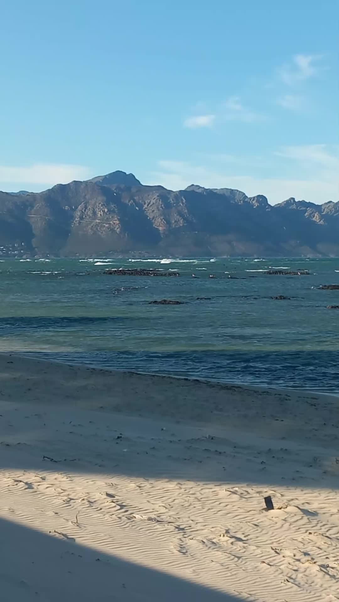 @Trance on the Beach