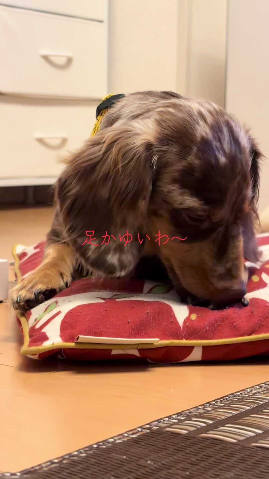 @ケン