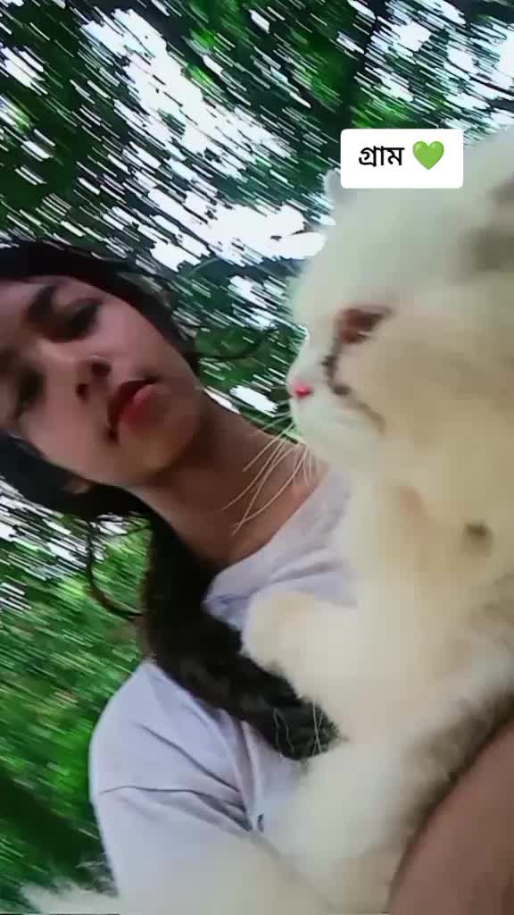 @user84537078496