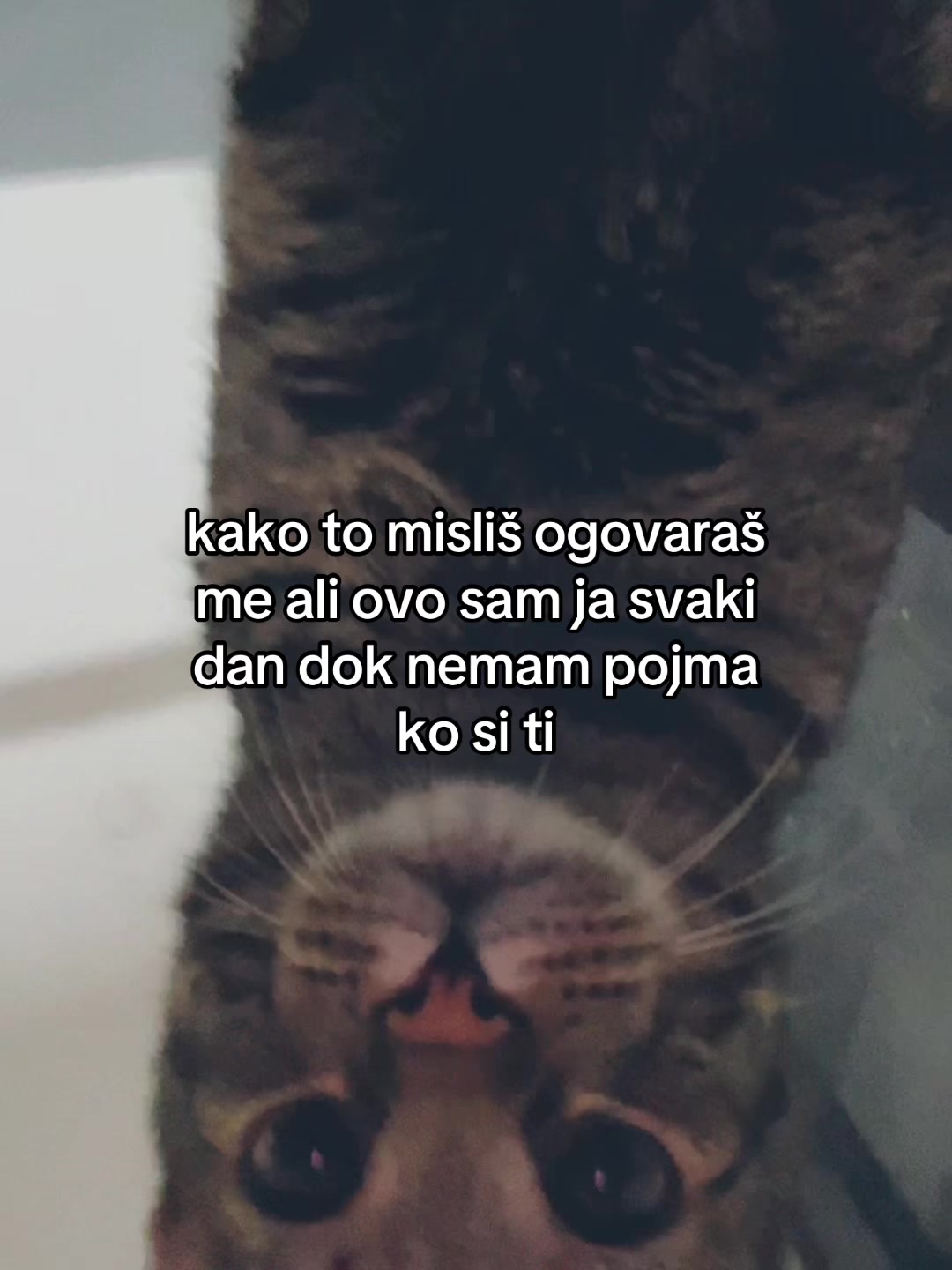 @Nevena Antonin