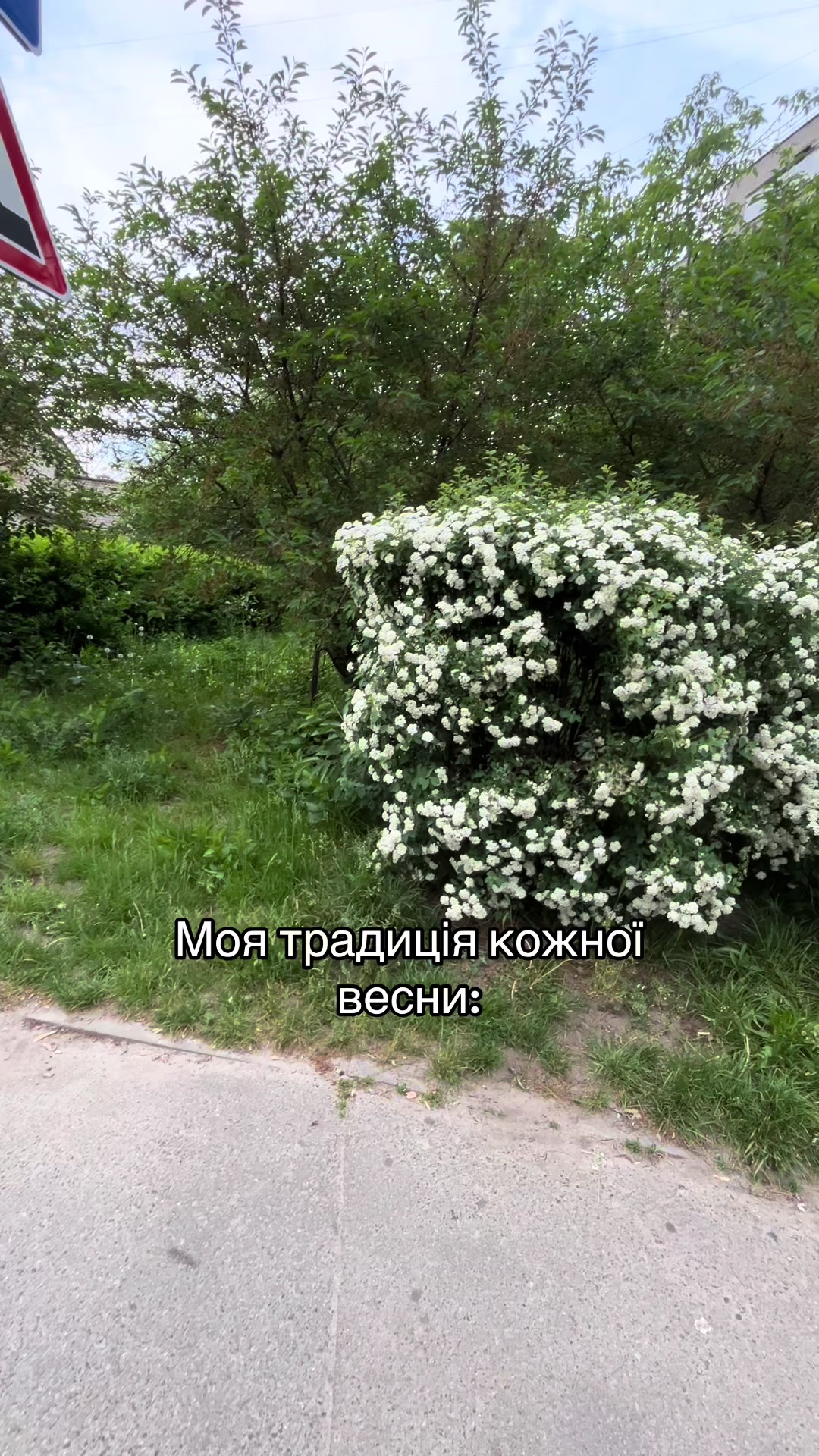 @vikusichka🪽