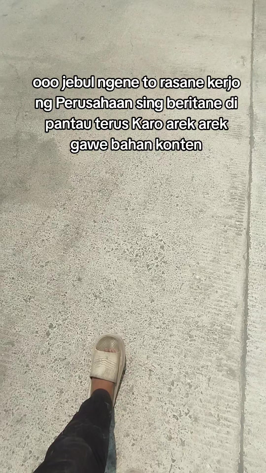 @El Bichoz