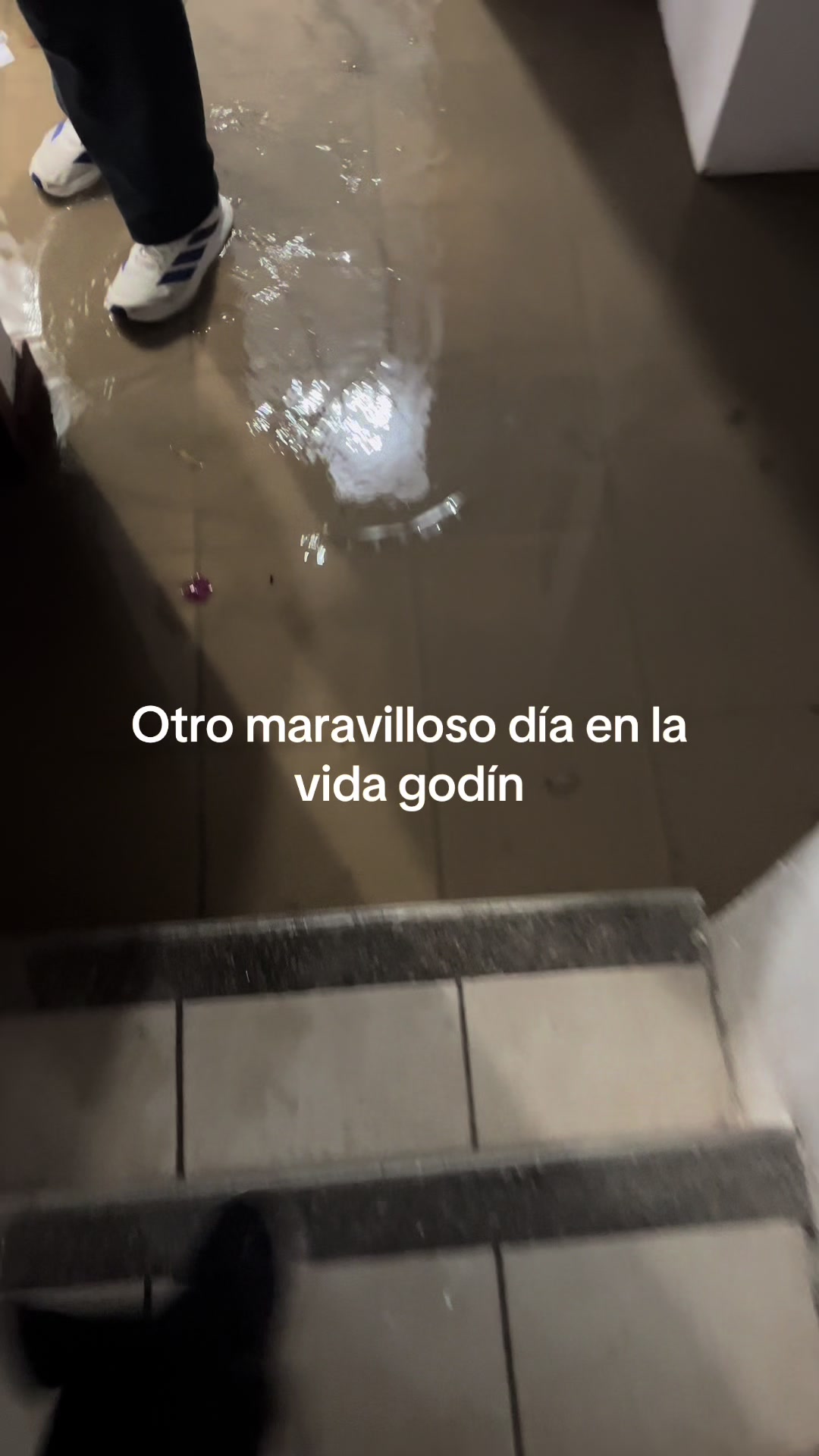 @Alejandra Peniche