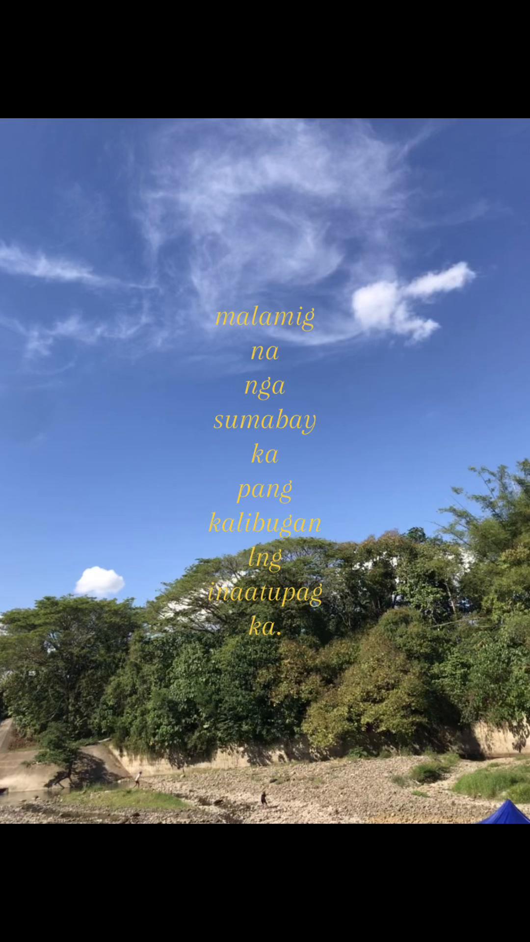 @ediwow.