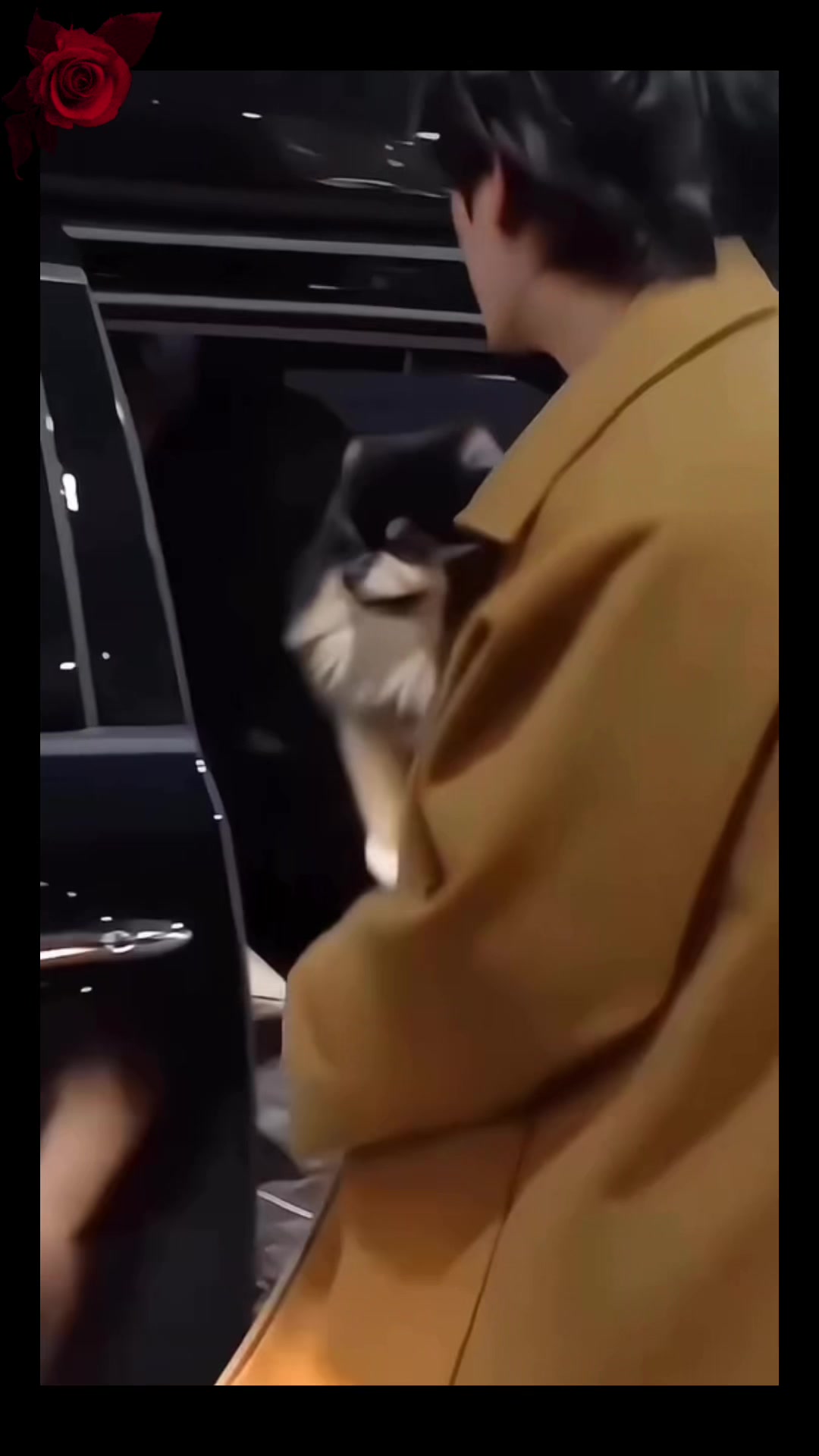 @๐๐โค๏ธtaerโค๏ธ๐๐
