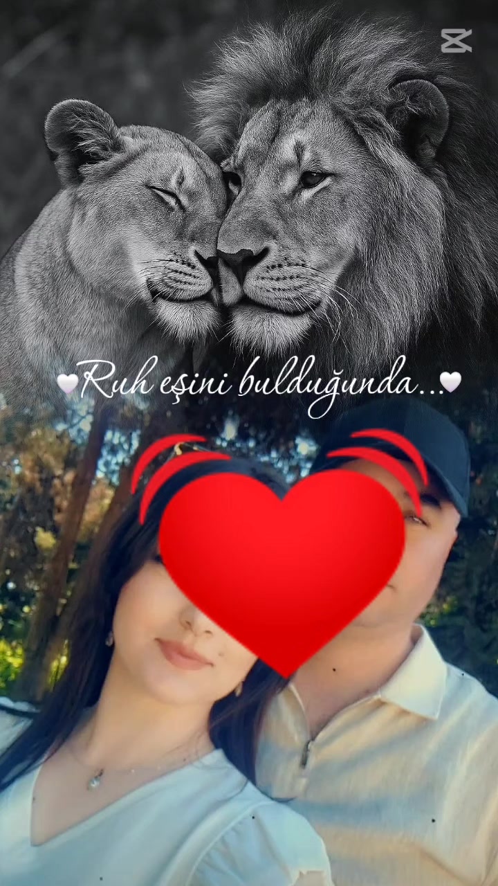 @ALİYEVA❤️