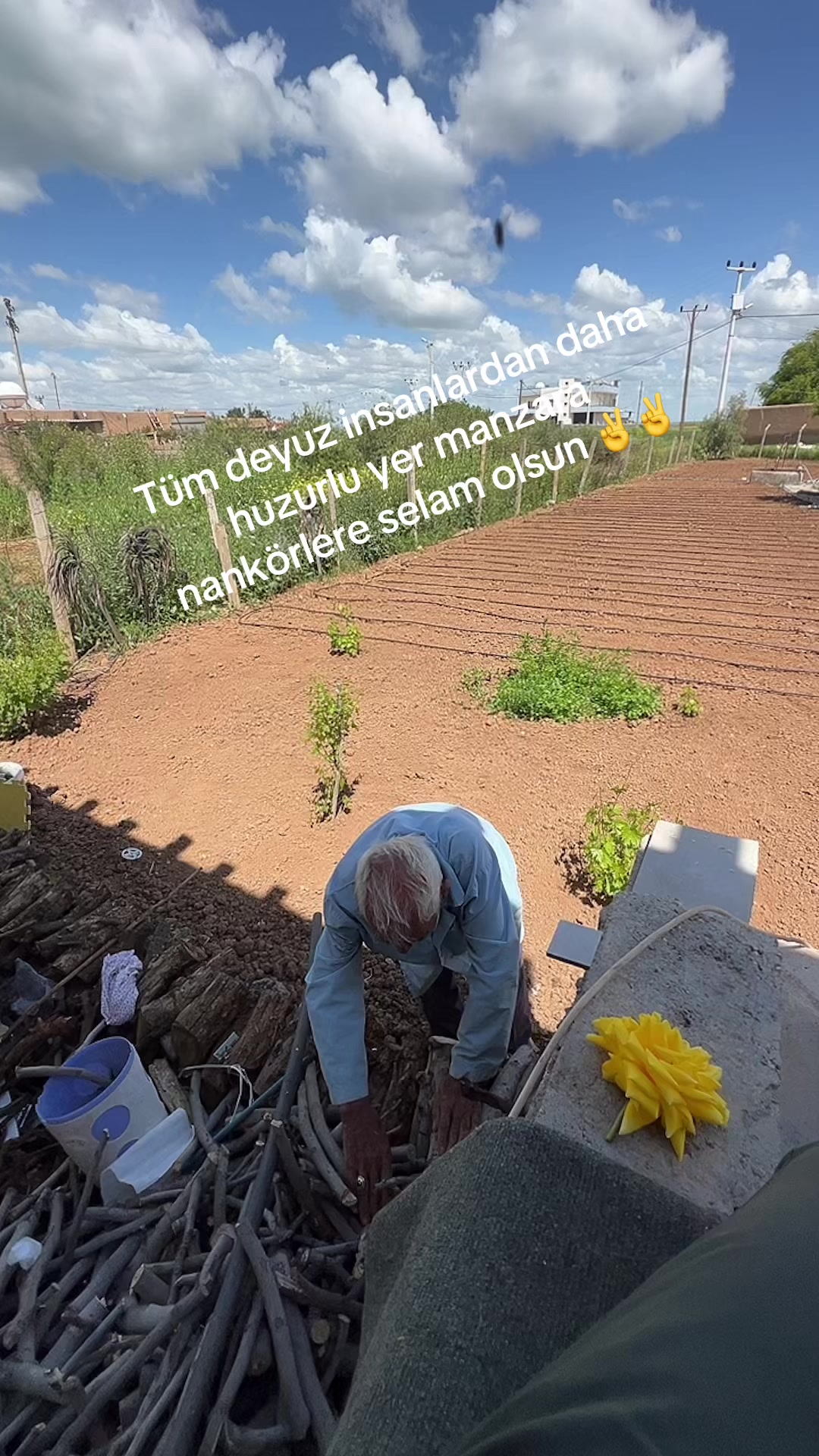 @Mesut Ergül