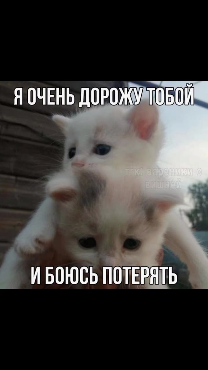 @кощик😛