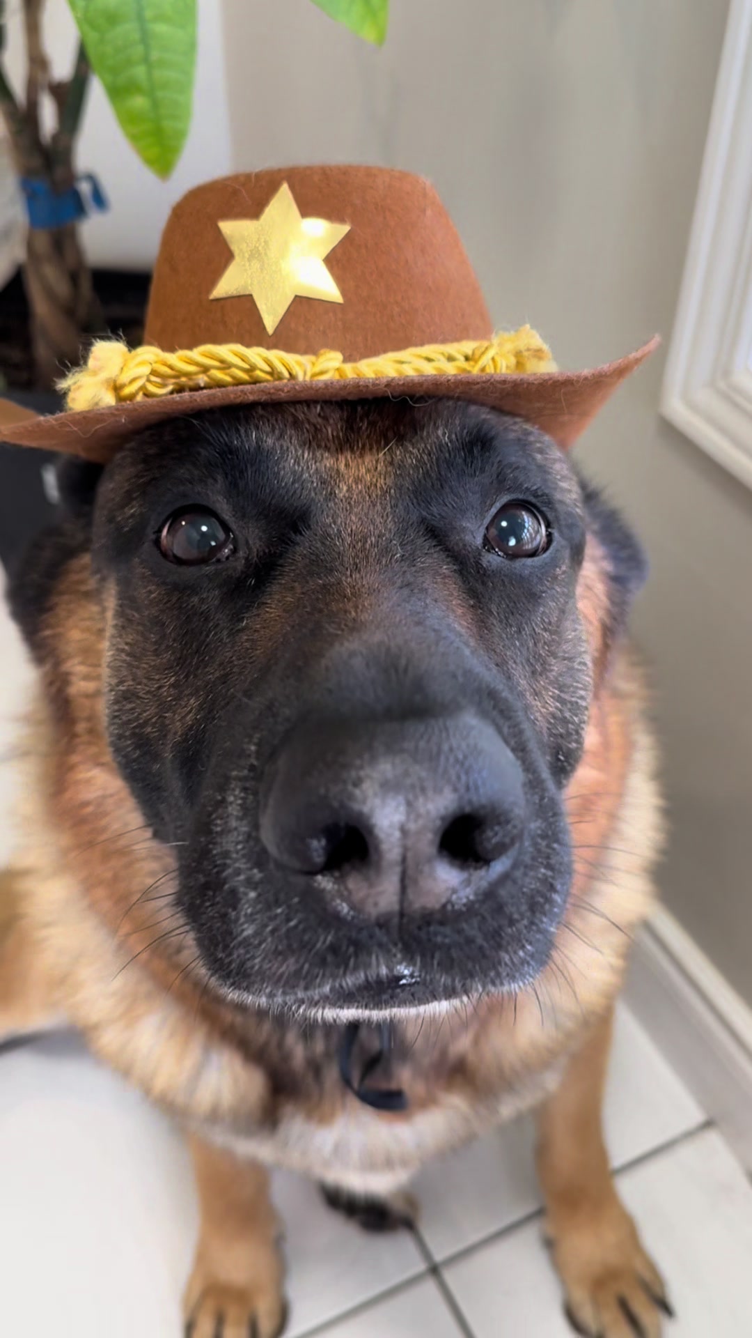 @Martygsd