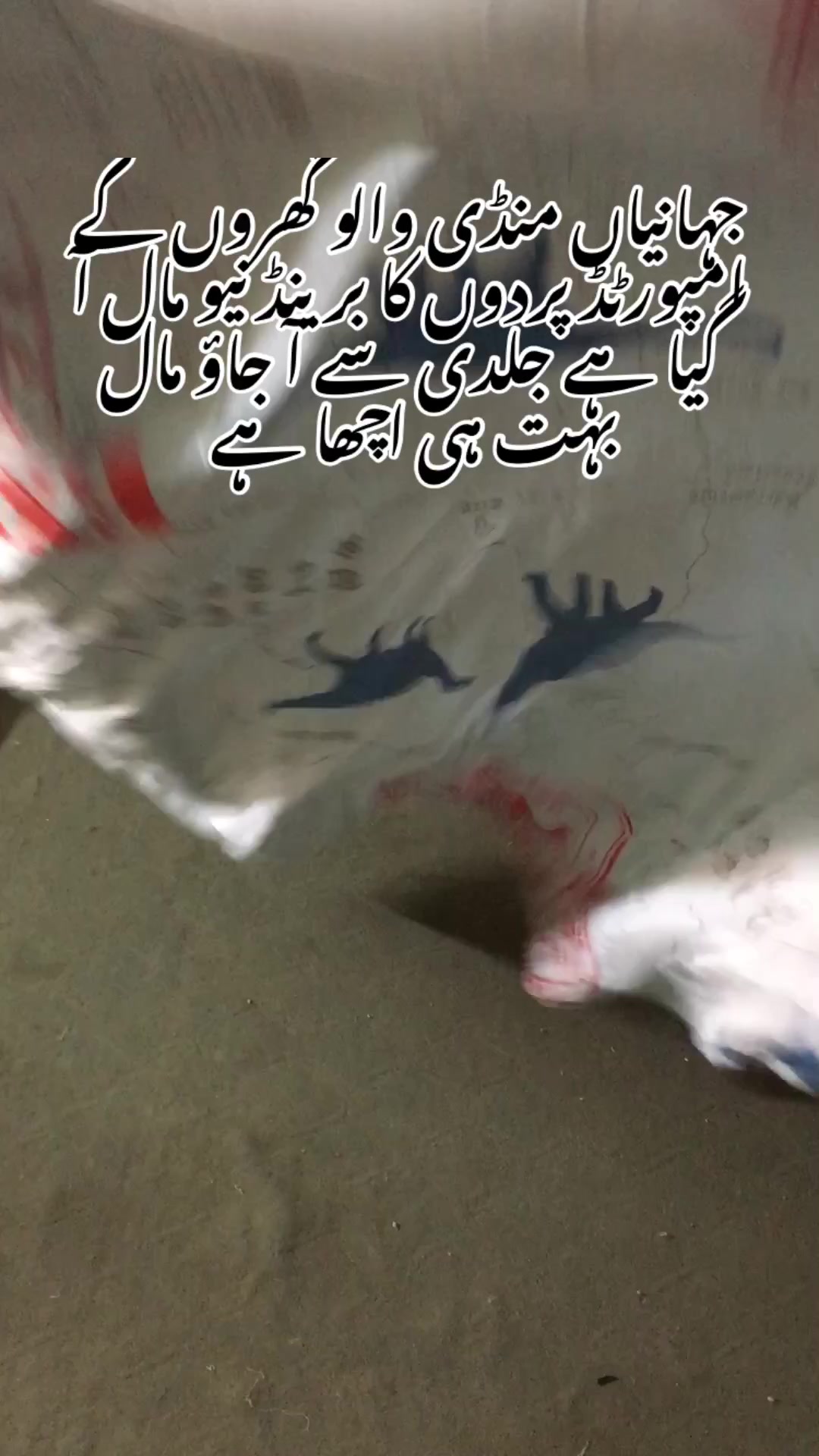 @دانش وکیل