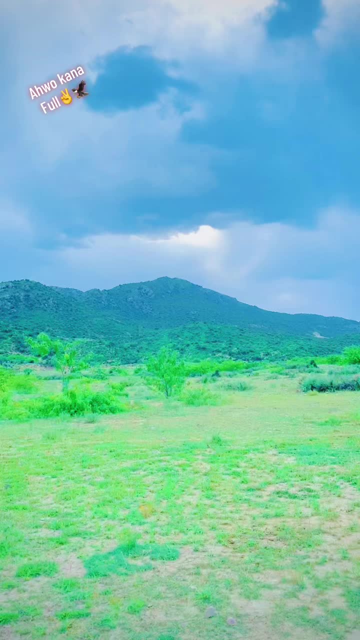@🌹ASIF_JANI_711🌹