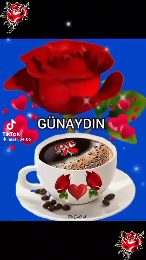 @Aydın &Ccedil;ine
