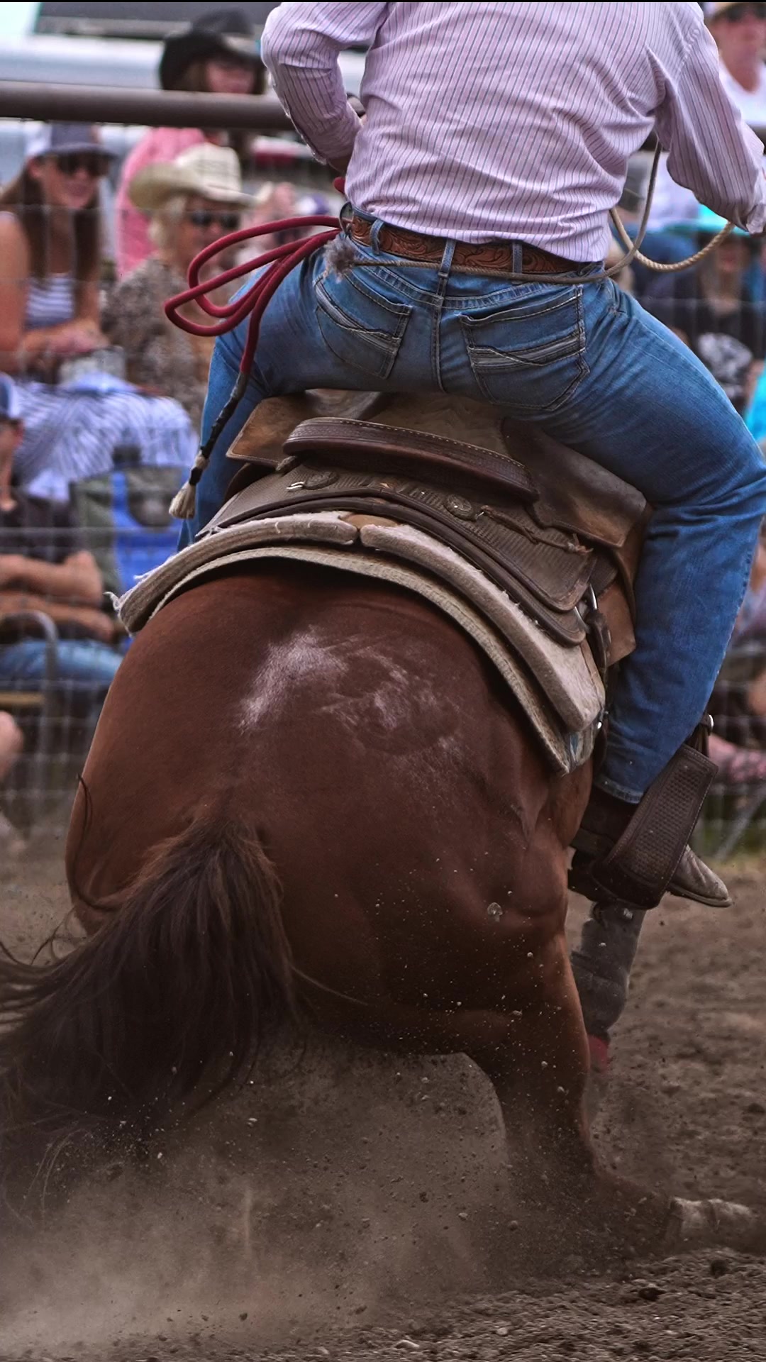 @Hanginghorses