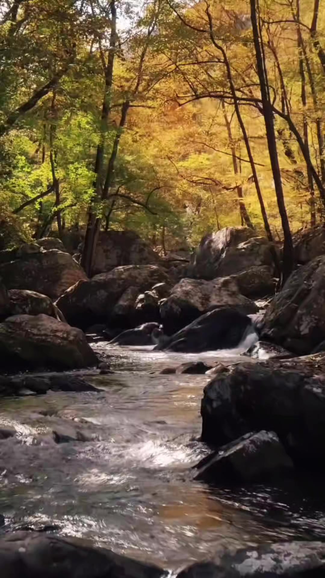 @Peacefultk