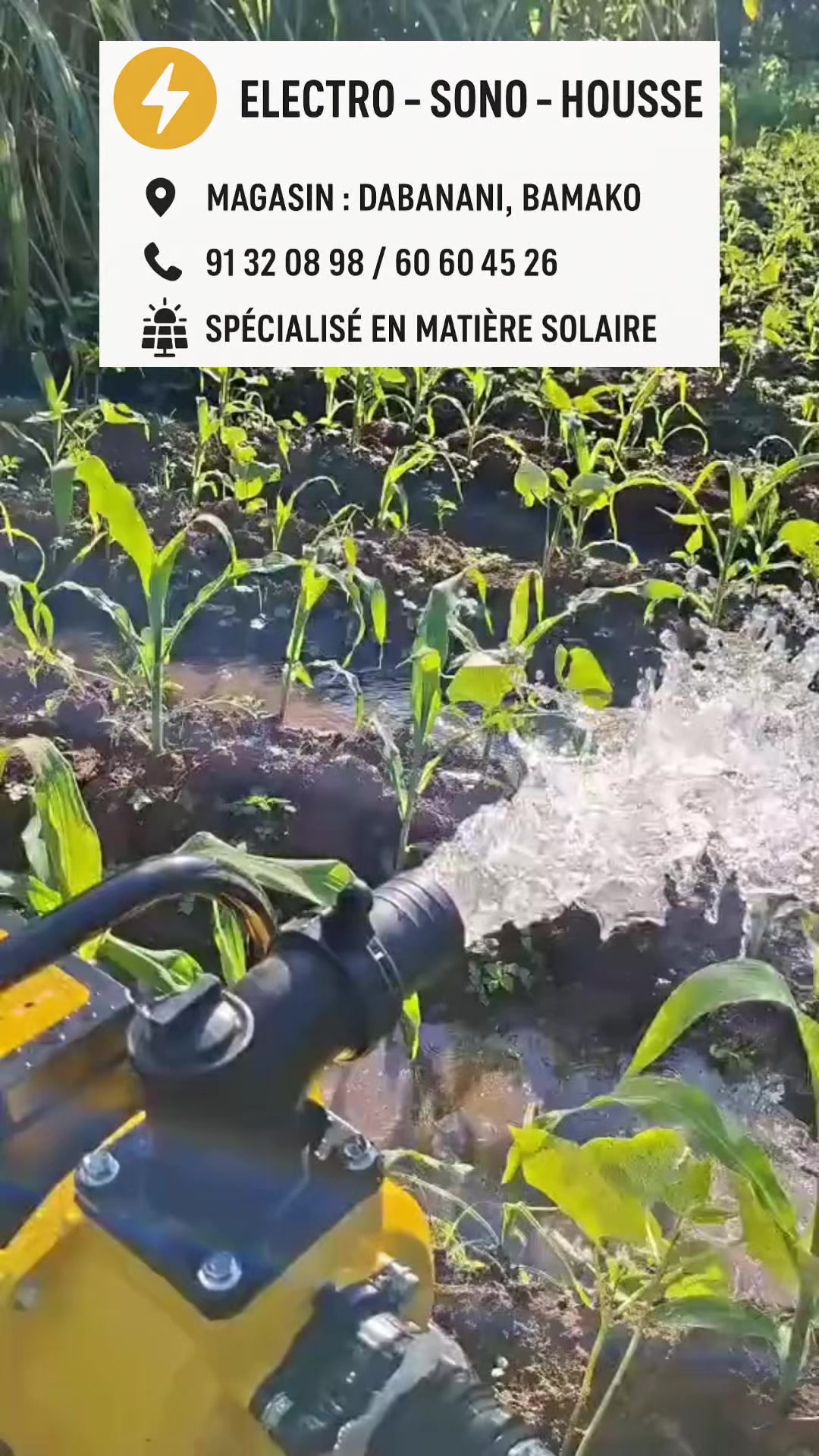 @sonohousse0