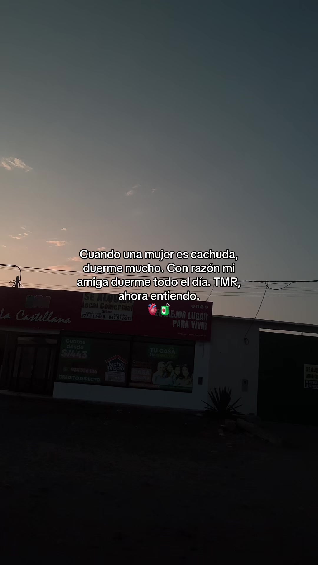 @Gatocix 🐱