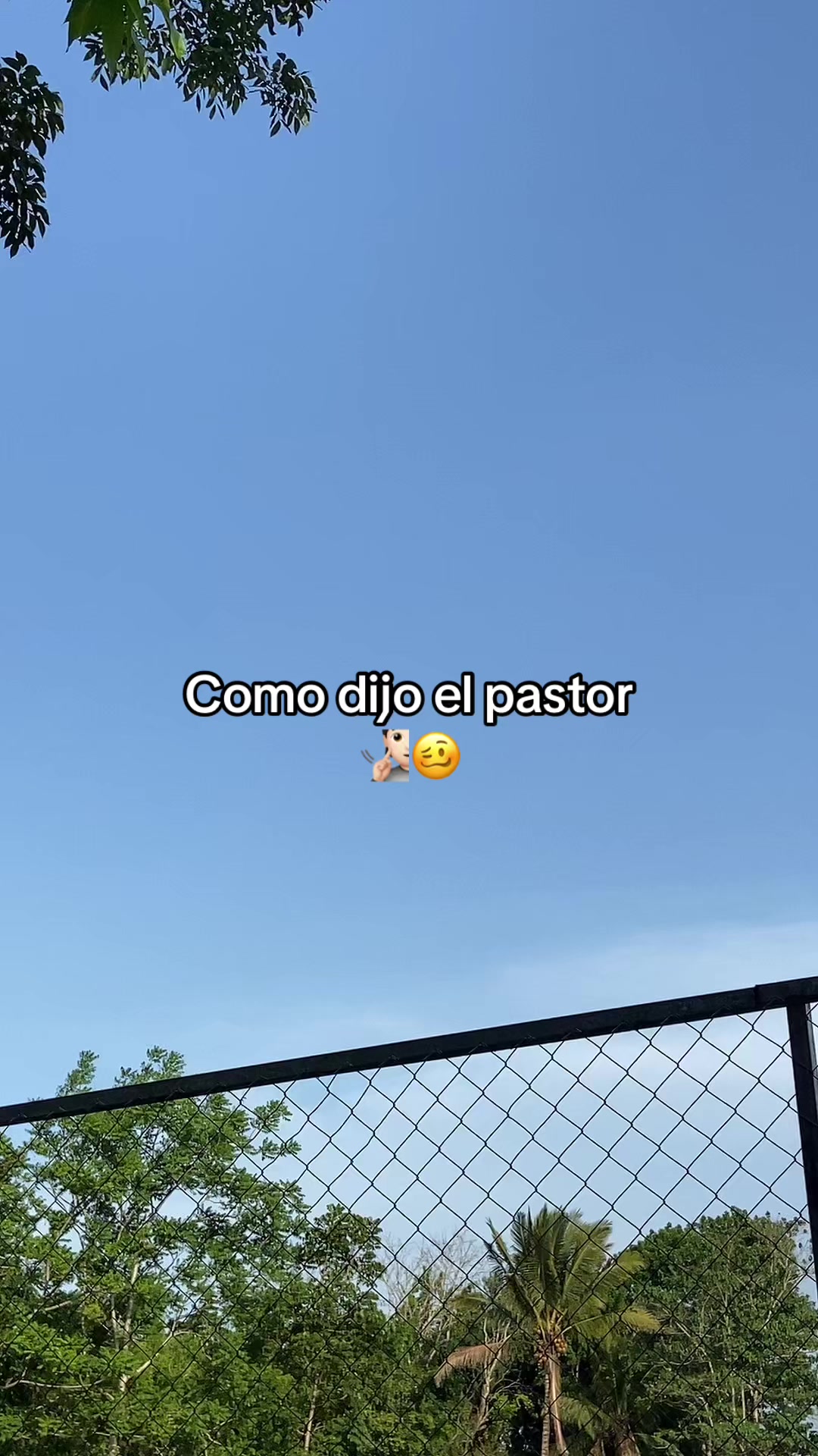 @🤷No disponible 🫤