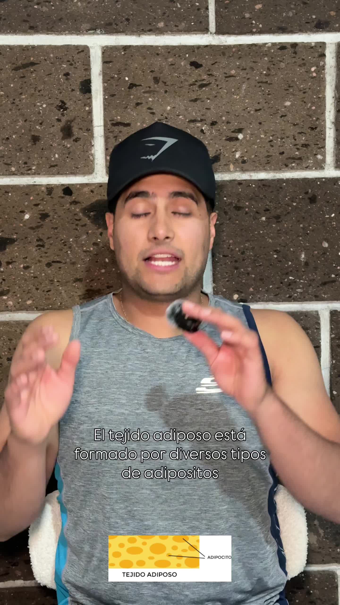 @danielrofit3