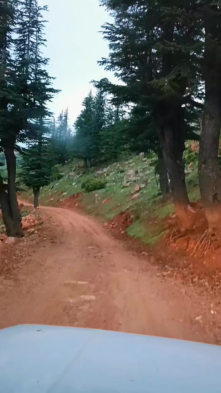 @DAĞCI.46