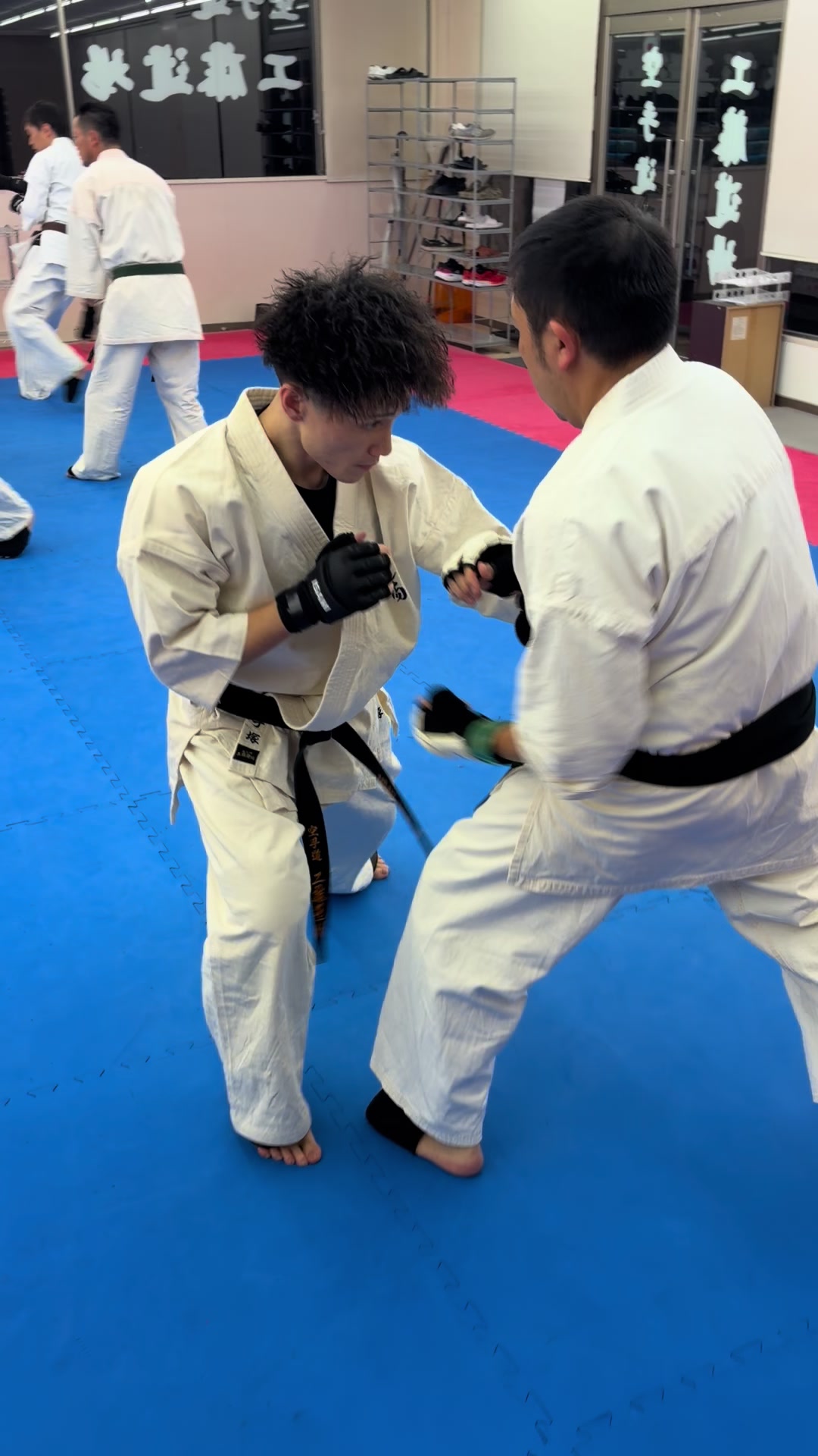 @kudodojo